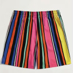 Colorful Vertical Stripe Pattern Shorts