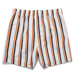 Orange Striped Shorts